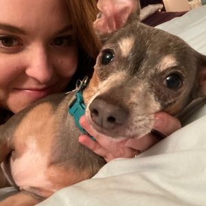 ✨🎨 Deanna’s Closet 🍓🦋